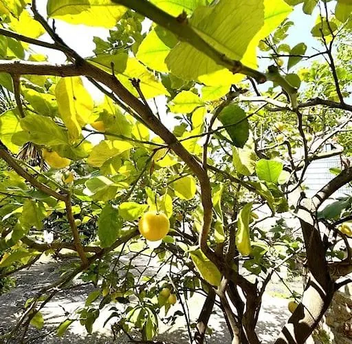 Вилла 8 Personnes 